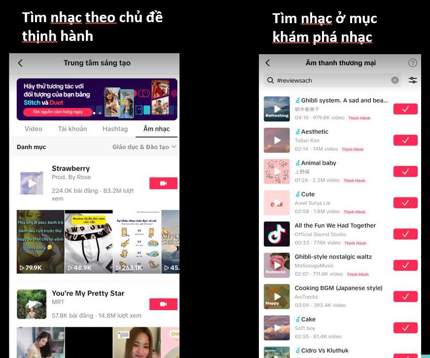 Xây kênh Tiktok mới Bí kíp lên tối ưu hashtag 